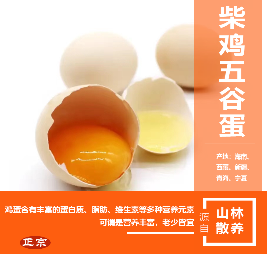 柴雞五谷蛋原產地直供