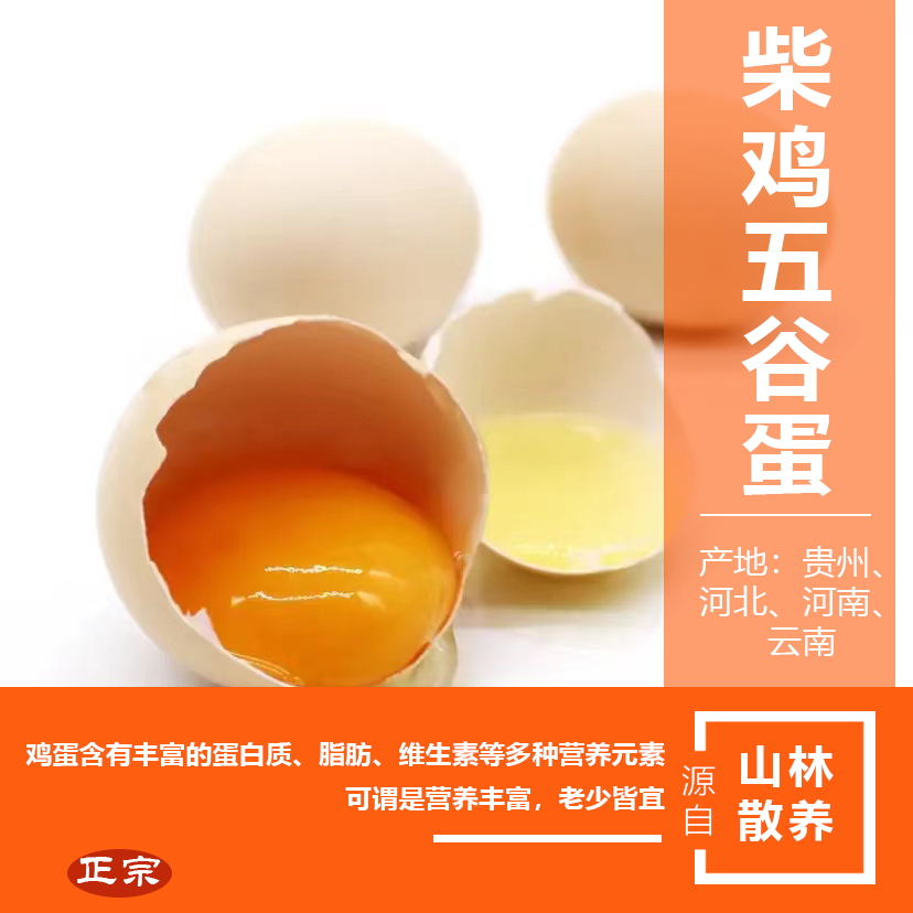 自家山林散養柴雞五谷蛋，小時候的